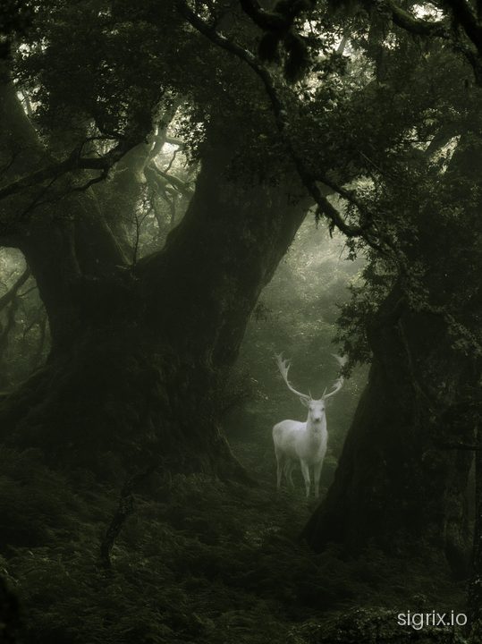 Enchanted Forest Fae Fantasy Art Prompt sample generation 8