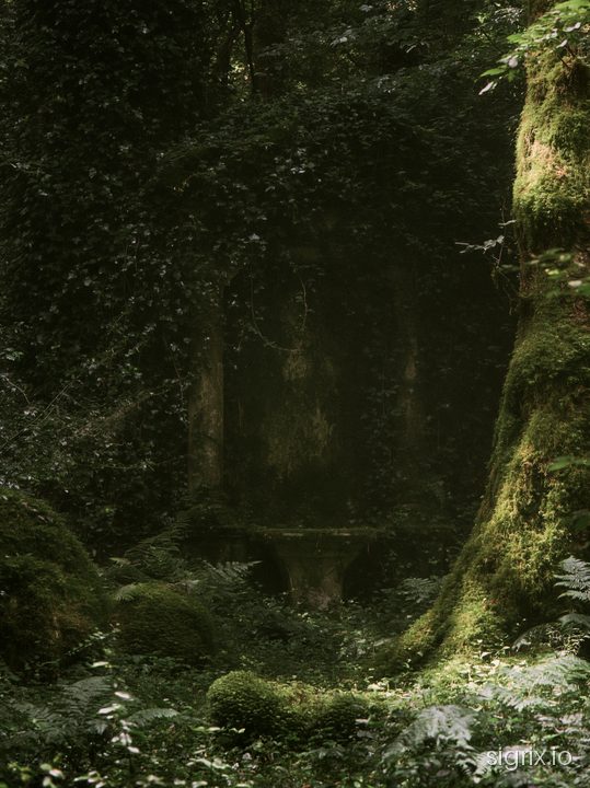 Enchanted Forest Fae Fantasy Art Prompt sample generation 4